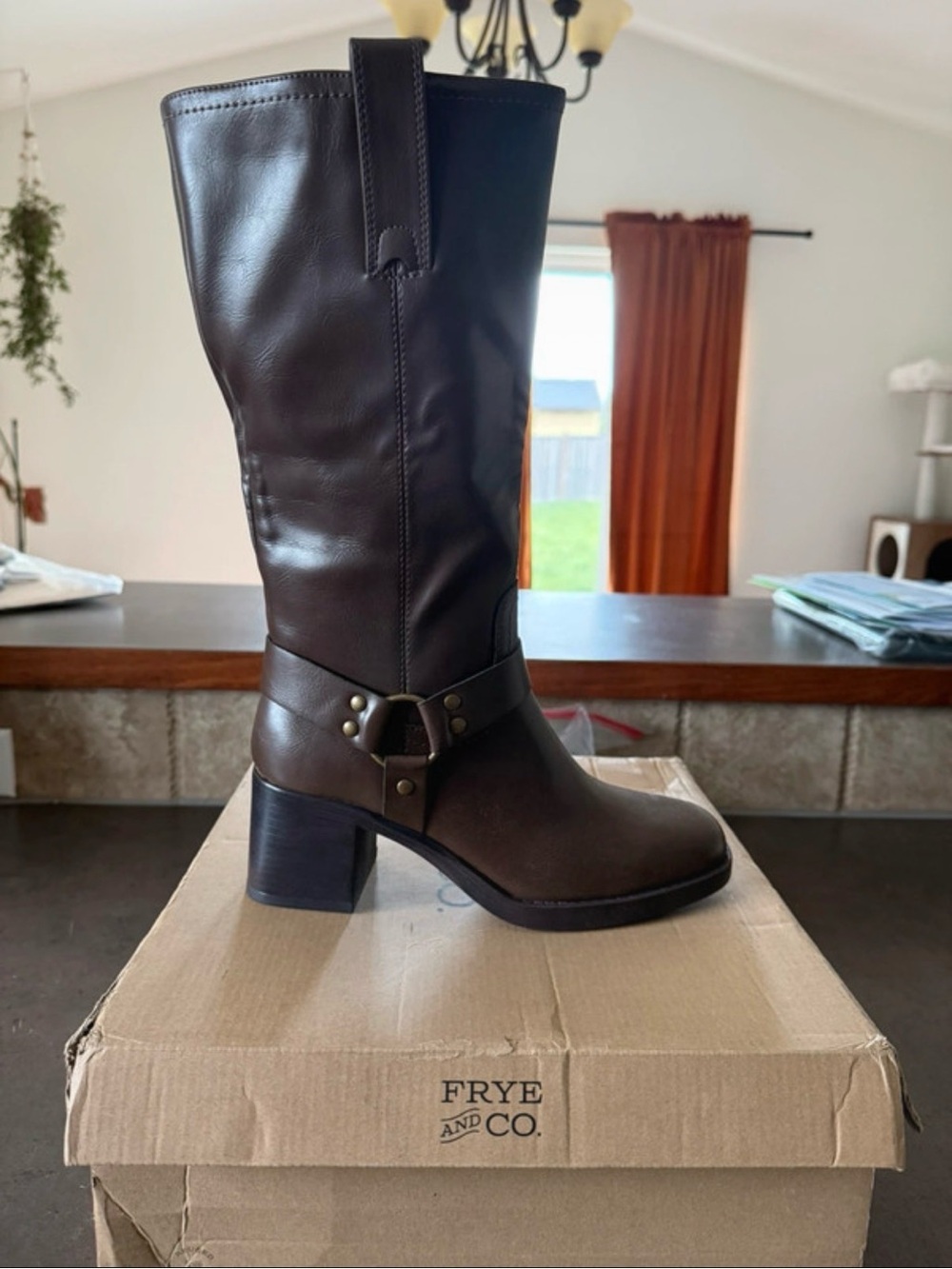 Frye & Co “Nica” Boots